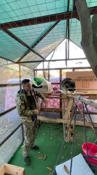 ��������� ����� @HersonEnot