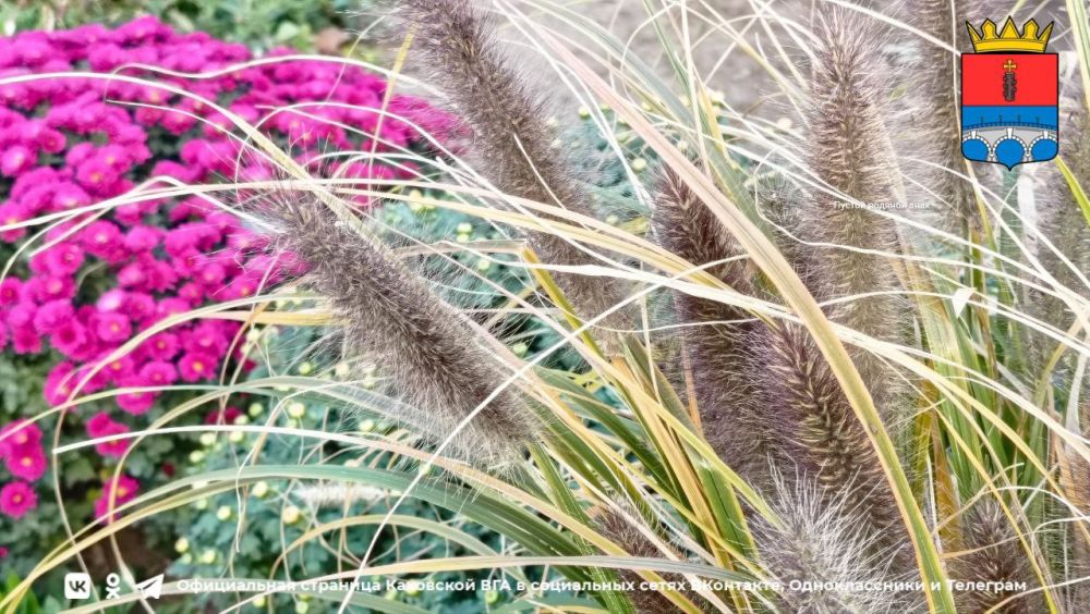 ������ ����, �������!. @VGA_Kakhovka