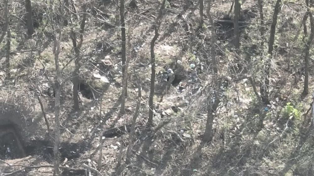 ����� ������� ���������� ��������������� ��� FPV-������ �� ����������� ����������� � ���� ���