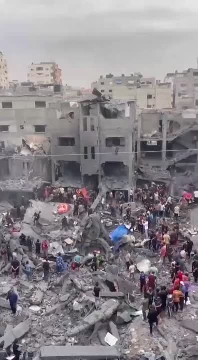 ������������ ��������������� � ������� ����: ����� �������� � ���������� ����������� ���� ����������� �� 377 �� ��������� 24 ����, ��������� 7703 ��������