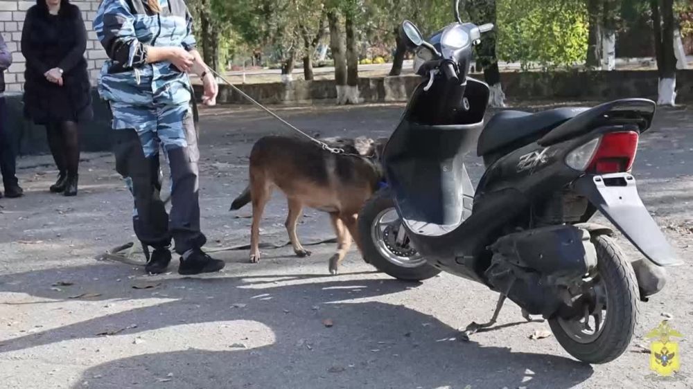 � ���������� ������ ���������� ��� ���������� �������� ���������� ����� � ����������� ����������