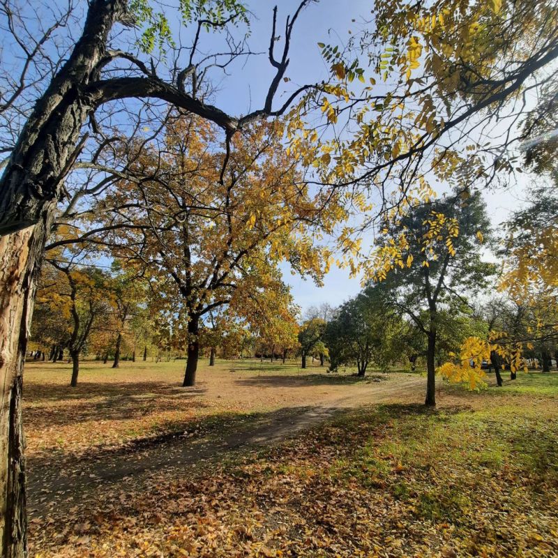 ������ �����, ������!. ��������, ��� ������� ���� ��� ���������� ���������, �� ����� ��� ������� �������� �� ���������� ������, ���������� �� ������� �������. ��� ������� ����� ������, � ��� ��� ������� ����� � ����� ������ �����