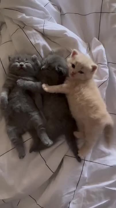 ������ ����. ������� � ������� ���� ��������� ����� ������, +18�...+22� ����������� �������� 759 ��������� 49% ����� 2,4 ��