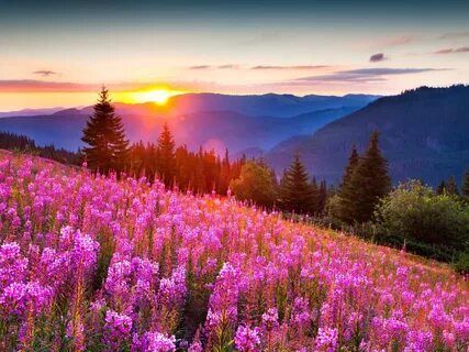 ������ ����. ������� ����� � ������� ���� ����� �����, ����� ��� � ��������� �� ���������� ����� ���. ��� �������. ����������� �� +11 ����� �� +22 ����