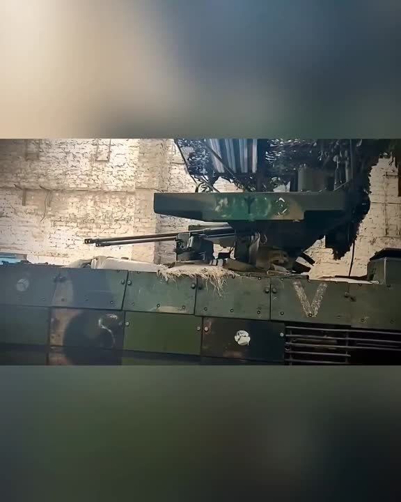 ���� "����������" � ������������ "��������" �� ����� �����