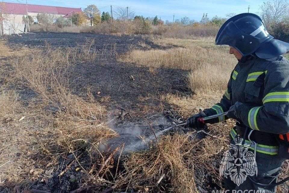 � ���������� ������� 28 ������� ��������� ������ �������