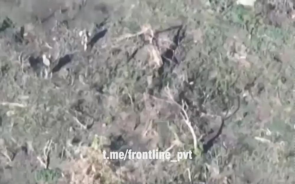 4 ������� ����� ����������� ����� ������� ������ ����� ������ � ������ ����������