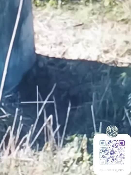 ����� � ������. � � ��� ����� �� ���������� ����������� ��� ������� ���������������� �����