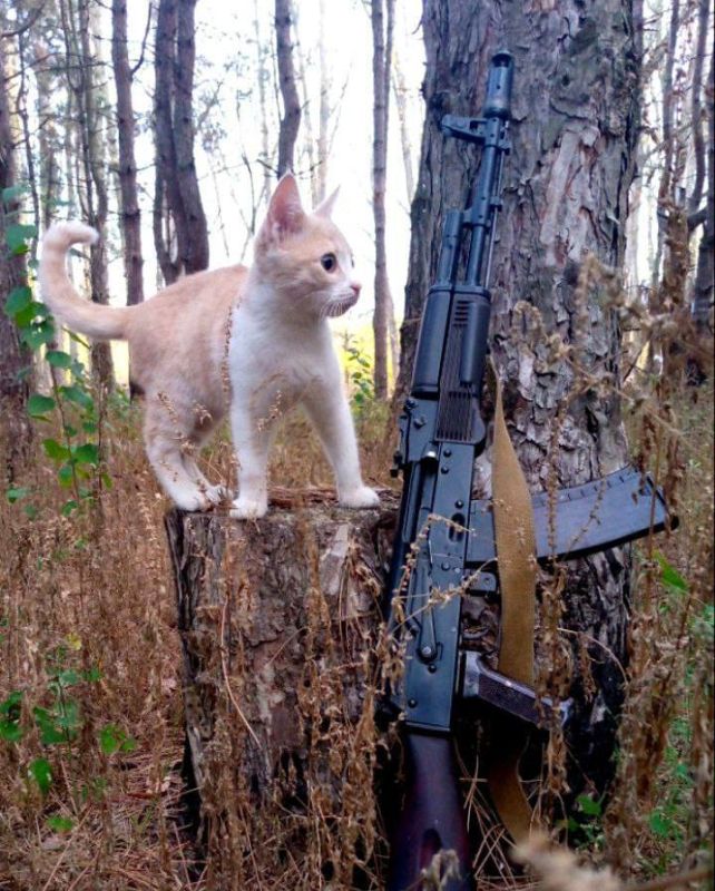 ��� ������� �� ������ ���������� �������