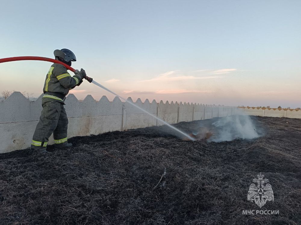 ��������� ��� �������� �� �������� ����� 4 ������ � ���������� �������