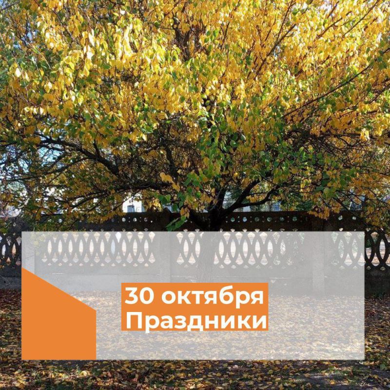 ��������� 30 �������. ���� ��������-��������