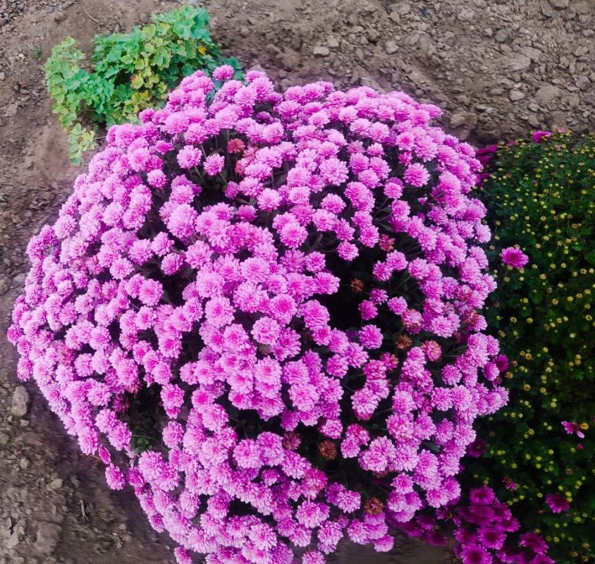 ����� ������ � �������. �� ������� ����������� �� ������ � ���������� ����������. ����� ������������ �����������, ������, �������� � ������ ���������