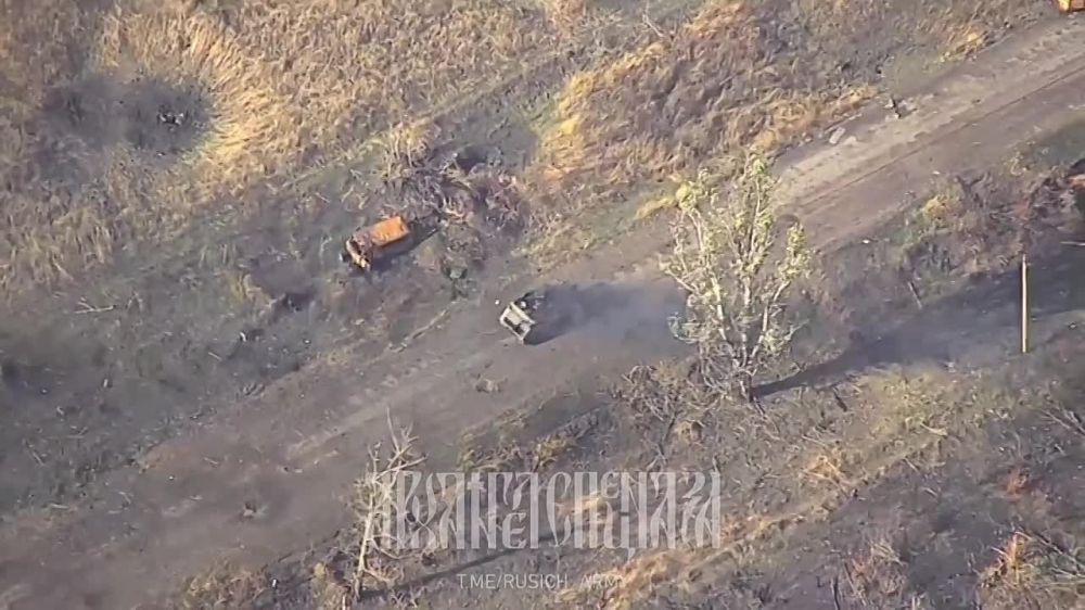 ����������� �����������, ������������ �113 ��� ������ � ������ ��������