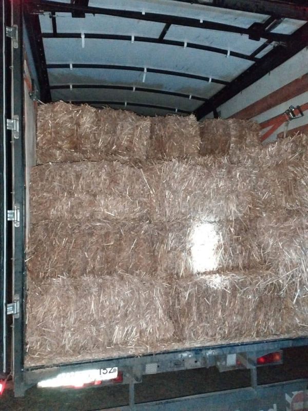 ������� ���������� �����