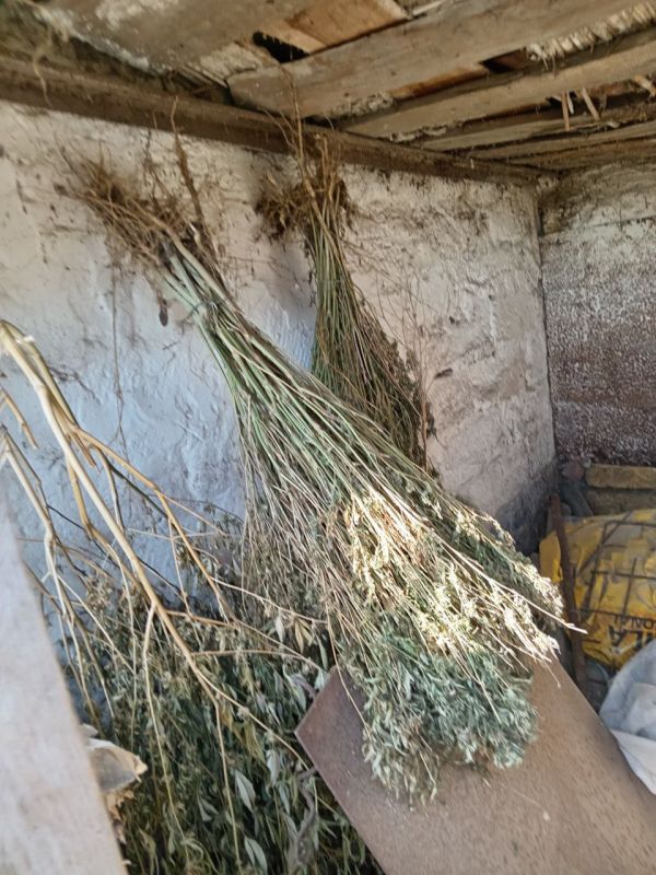 ������ ������������ ������ ����� 18 �� ����������� ������� � ���������� ���������