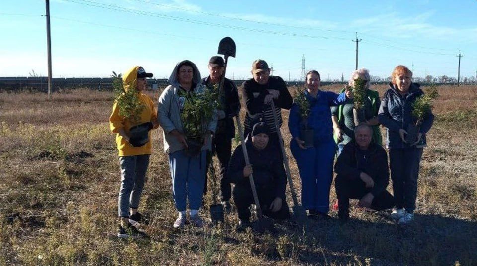 � ��������� ������� ���������� ���������� ������ ������