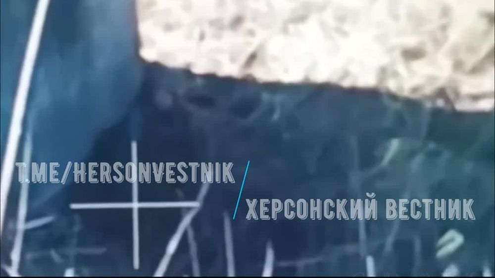 ���������� �����������. ������� ����������� ������� ��� ������� �/� �����