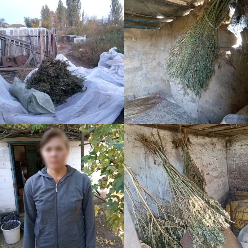 � ���������� ��������� ������ ������� 18 ����������� ���������