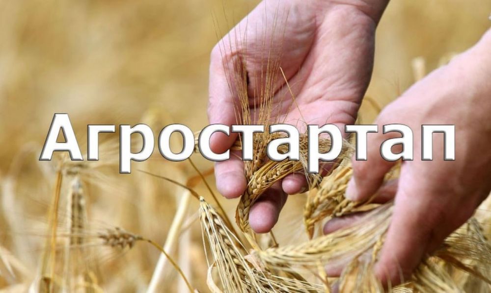 �������� ����� � ������� �� �������� �������� ������ � �������� �������������������, ����������� ������ �������� �� �������� ���, �������� ����������, �����������, �������� � ������������������� ��� ������ ������������