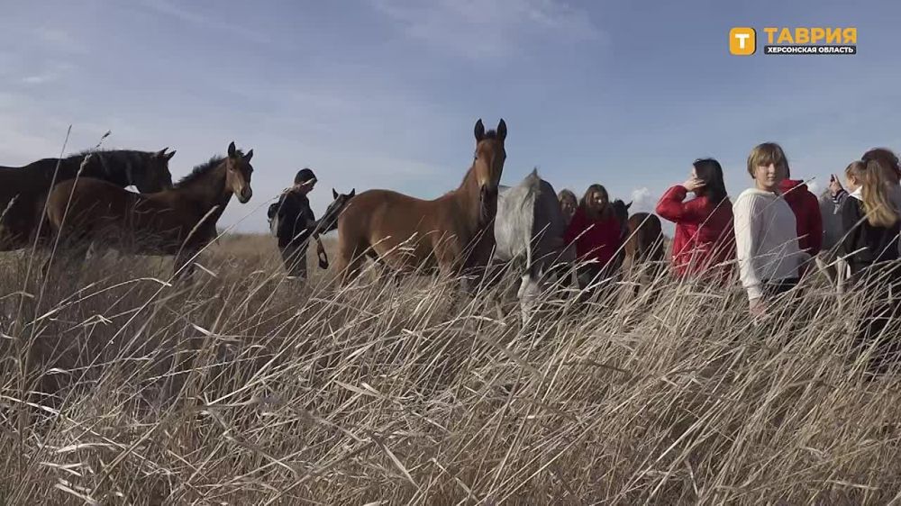 ��������� ���������� ������� �������� ��������� � ���� ���������������