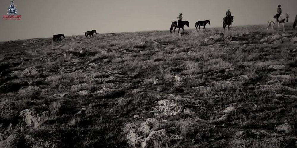 ������ - �������� �������� �� ������