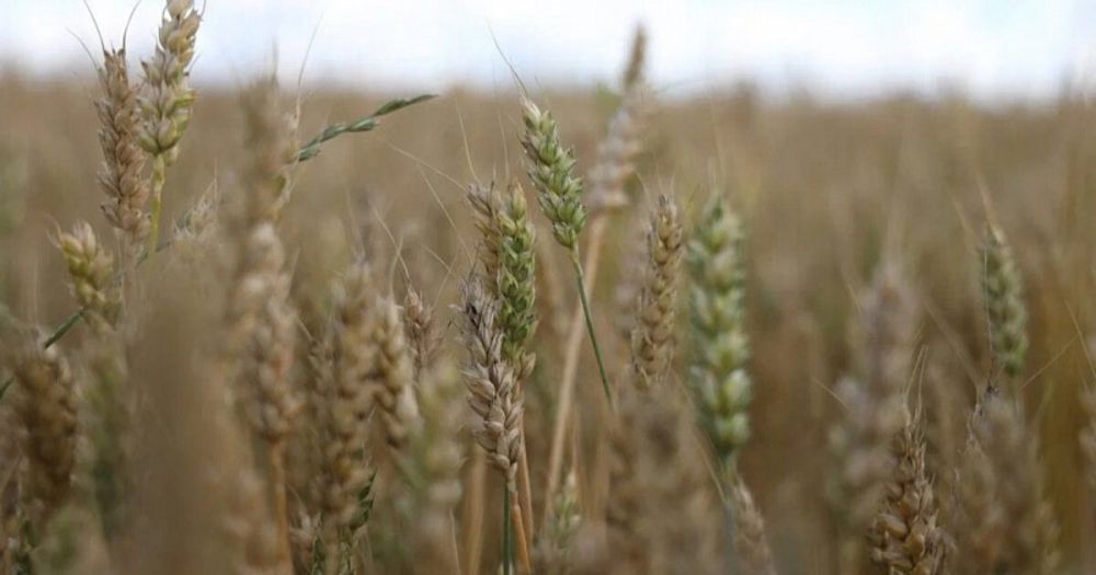 ���������� ����� ������� ����� ����� �������� �� �� ������ ������