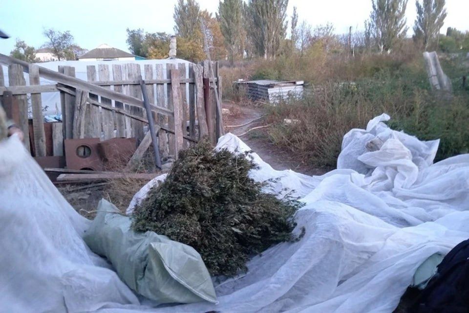 ����������� ����� � ���������� ���������� ������� 18 ����������� �������