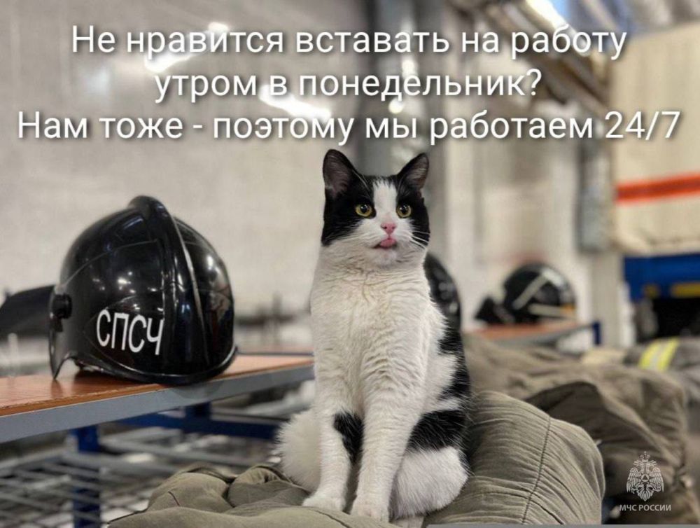 ���������� ������� ������. 24 ���� � �����, 7 ���� � ������, 365 ���� � ���� � ������� � ���, ��� ������! ______________