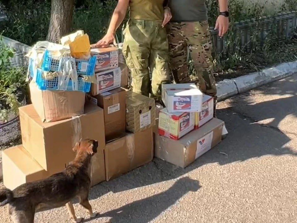 ������ "������" �������� �������� ������� � ��������������� ��������