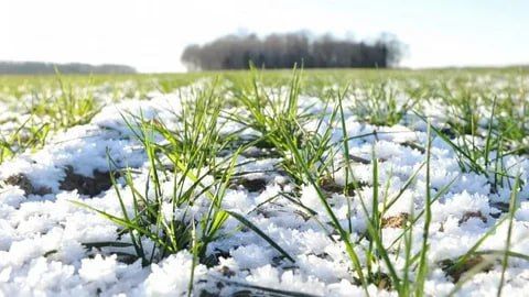 ������������ ������ ��� � ����� ��������