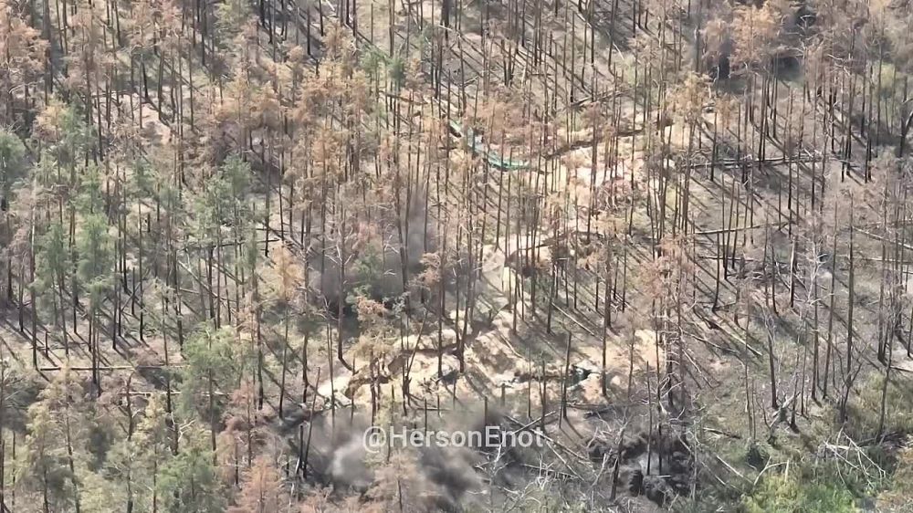 ���� �� �������: ��������� � ��������� ����!