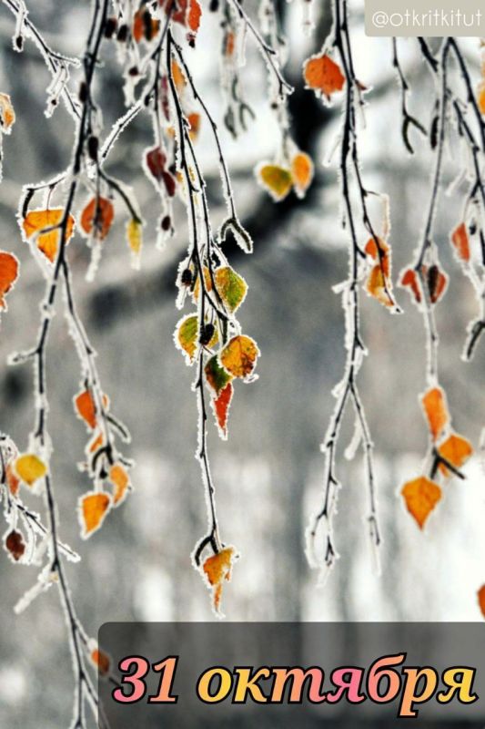 ��������� 31 �������. ������������� ���� ������� ����