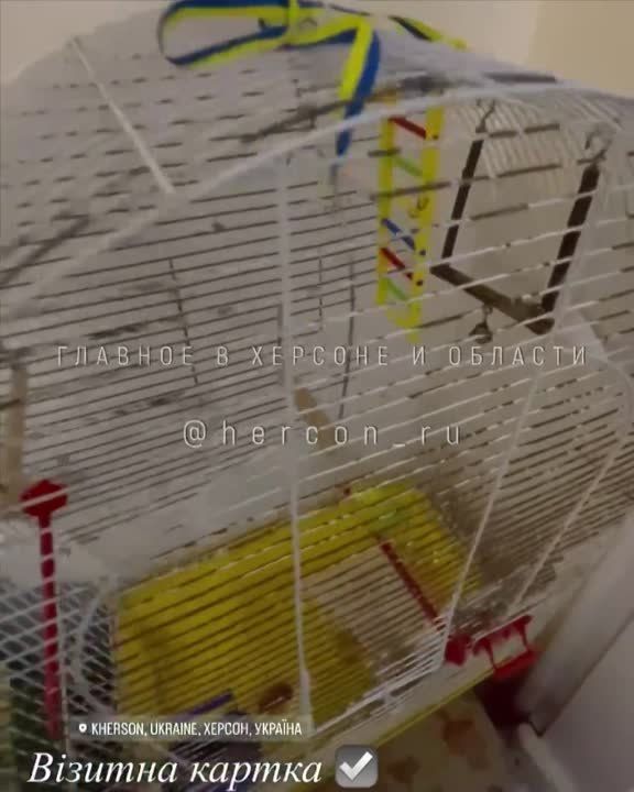 ��� �������� �� ���������� � ����������� ��������� ��������������� ����� ������� �������� ��������� ������ ����������