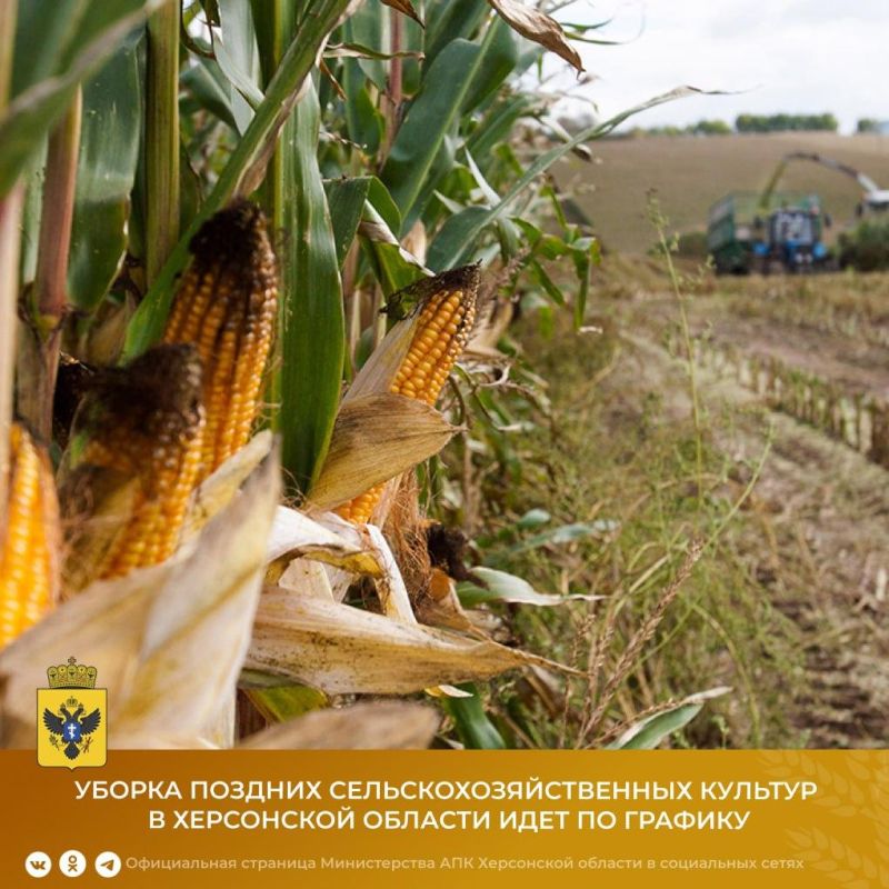 ������ ������� �������������������� ������� � ���������� ������� ���� �� �������