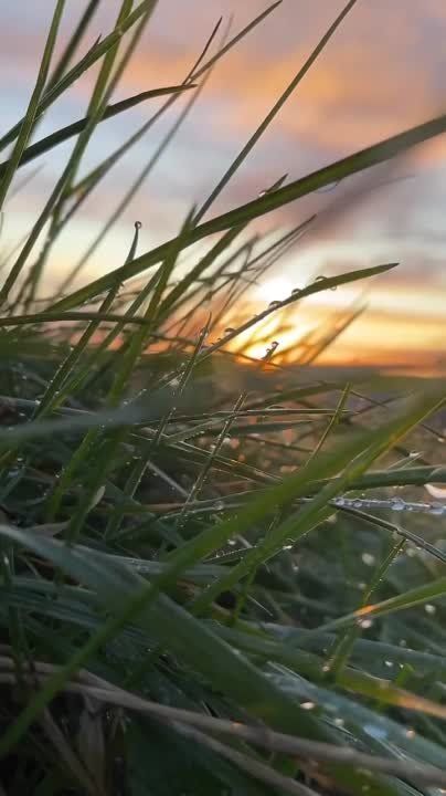 � ������� ������ ���, �����������!