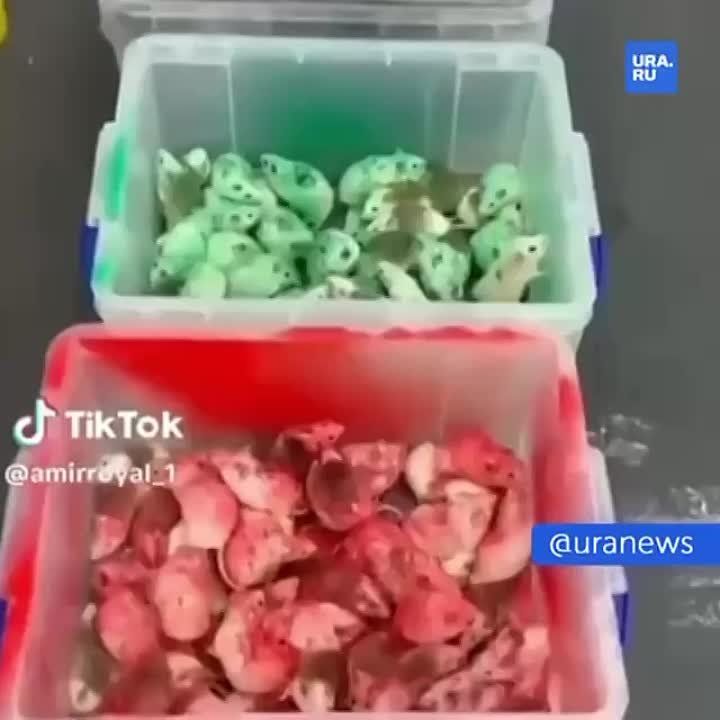 � ������ ������������ �������� �������� ������� �����, ����������� � ����� ������������� ����� � McDonald's