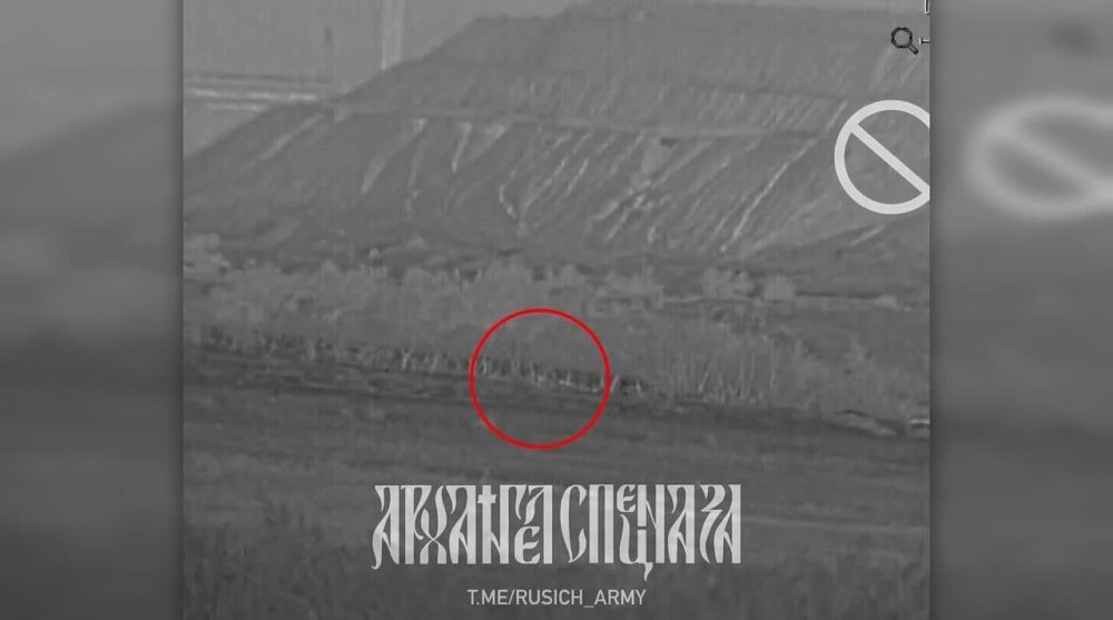 ������ �� 31 ������� 2023 �. �������