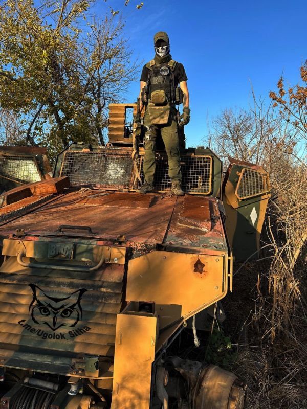 ������������ �������� ��������������� Kirpi � ���� ���