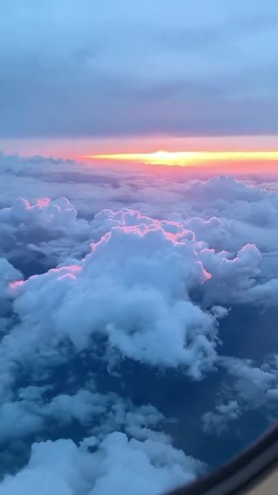 ������ ����. ������� � ������� ���� ��������� ����� ������