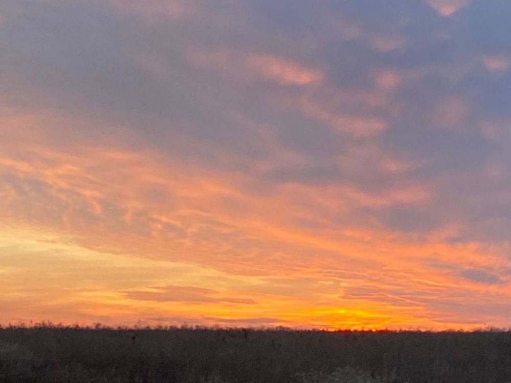 ����������� ������� �������� � ��������� ������������� ������