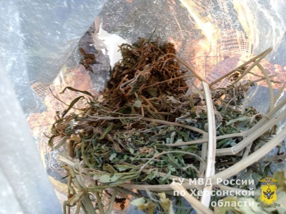 � ��������������� ������ ����������� ������ ������� � �������� ������