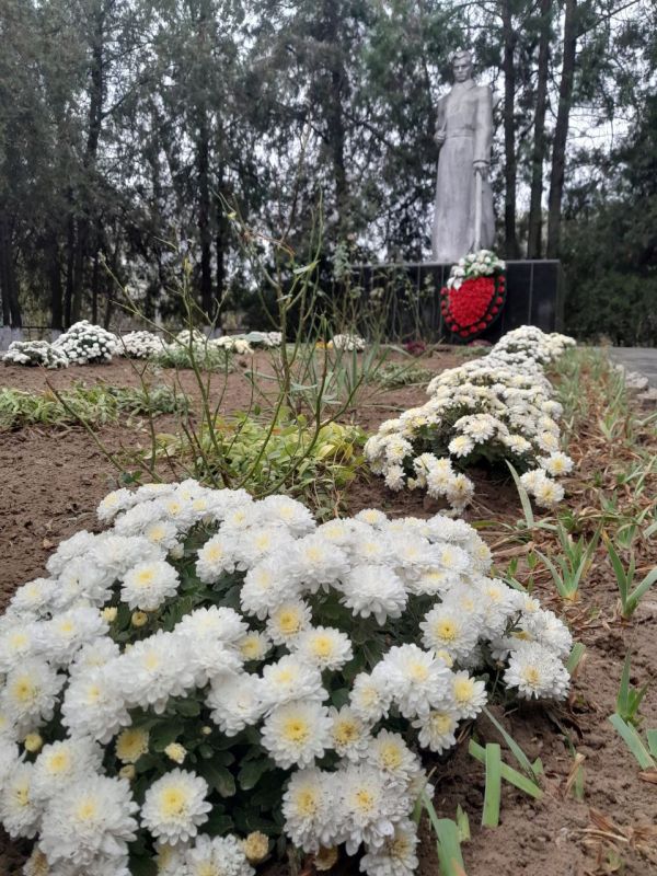 � ���������� 80-����� �� ��� ������������ ����������� �� �������-���������� ����������� ���������� �������������...