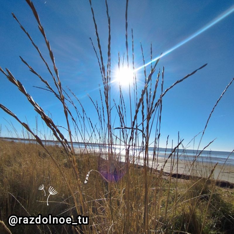 ����������!. ����������� � ������������ ������ ������� � ����������� ����!