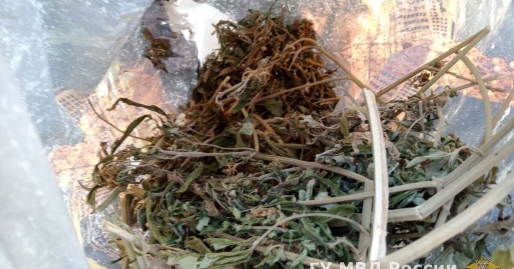 ������ ���� ���������������� ������ ������ �� ������� ����� ���������