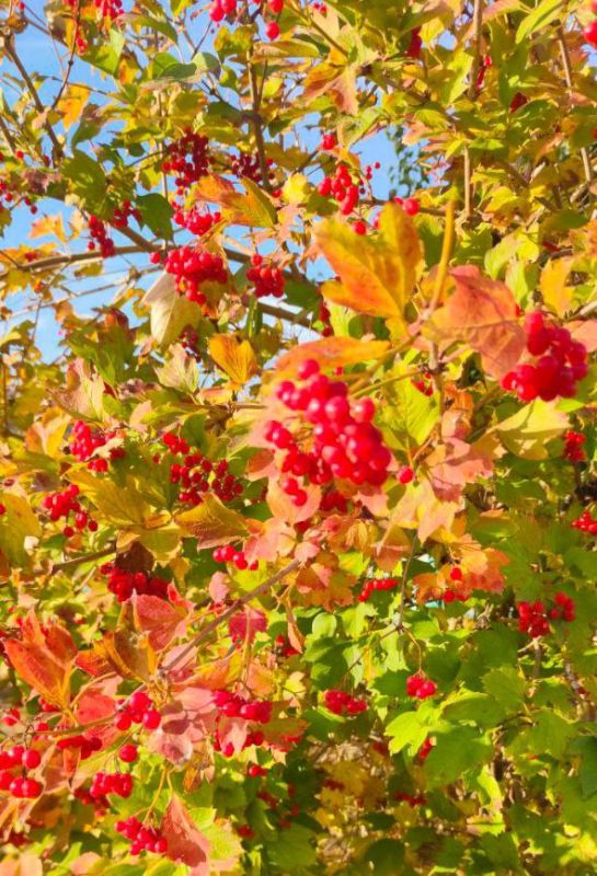 ���������� � ������ ����� � ��������� ��. ��� ������� ���������� �� ��������� ������� ������ - �����, ������, ����� �������� ����