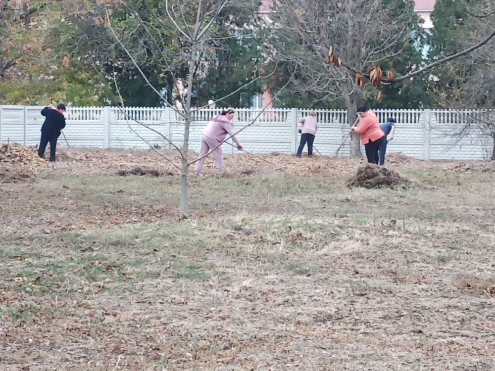 ���������� ������ ����������� ������������ ����� �� ���������