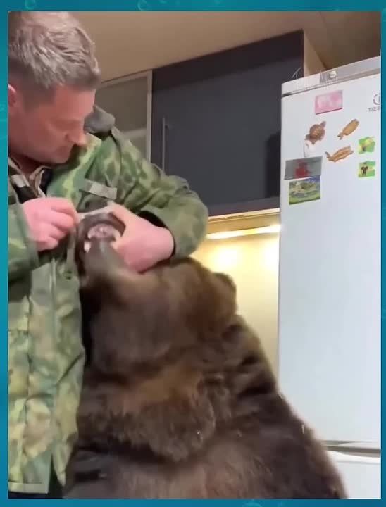 ��������, ������ ������������ �������� ������� ������� ������