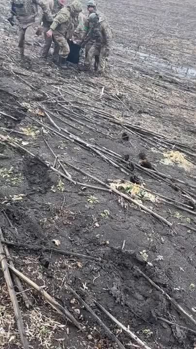 ����� ��������. ��������� ������ ���� ����� ������������ ������ � ����� ���� � �������. ����������, ���� �� ������! �������������� �� ���������� �������