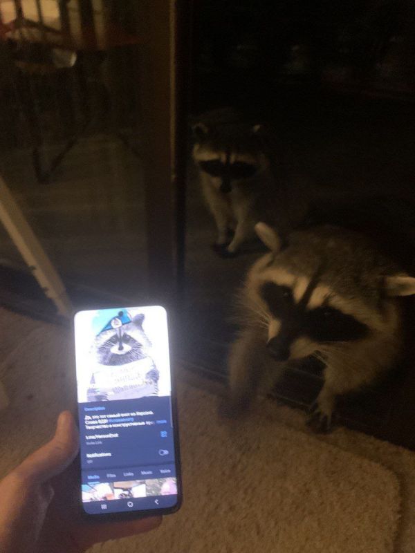 ���� �� �������: ��, ����� �������!. ������ �� ������!!! �� ����� ��������� �������! ���� ����� ���� � ����� �������� ��...