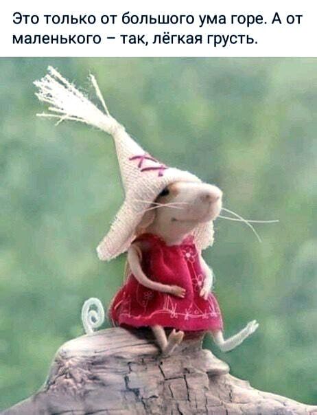 ����������� � ���� ���������� ����, ��������� ��-�� ���� �������� ��������� � �������� � ������ ������ �����������